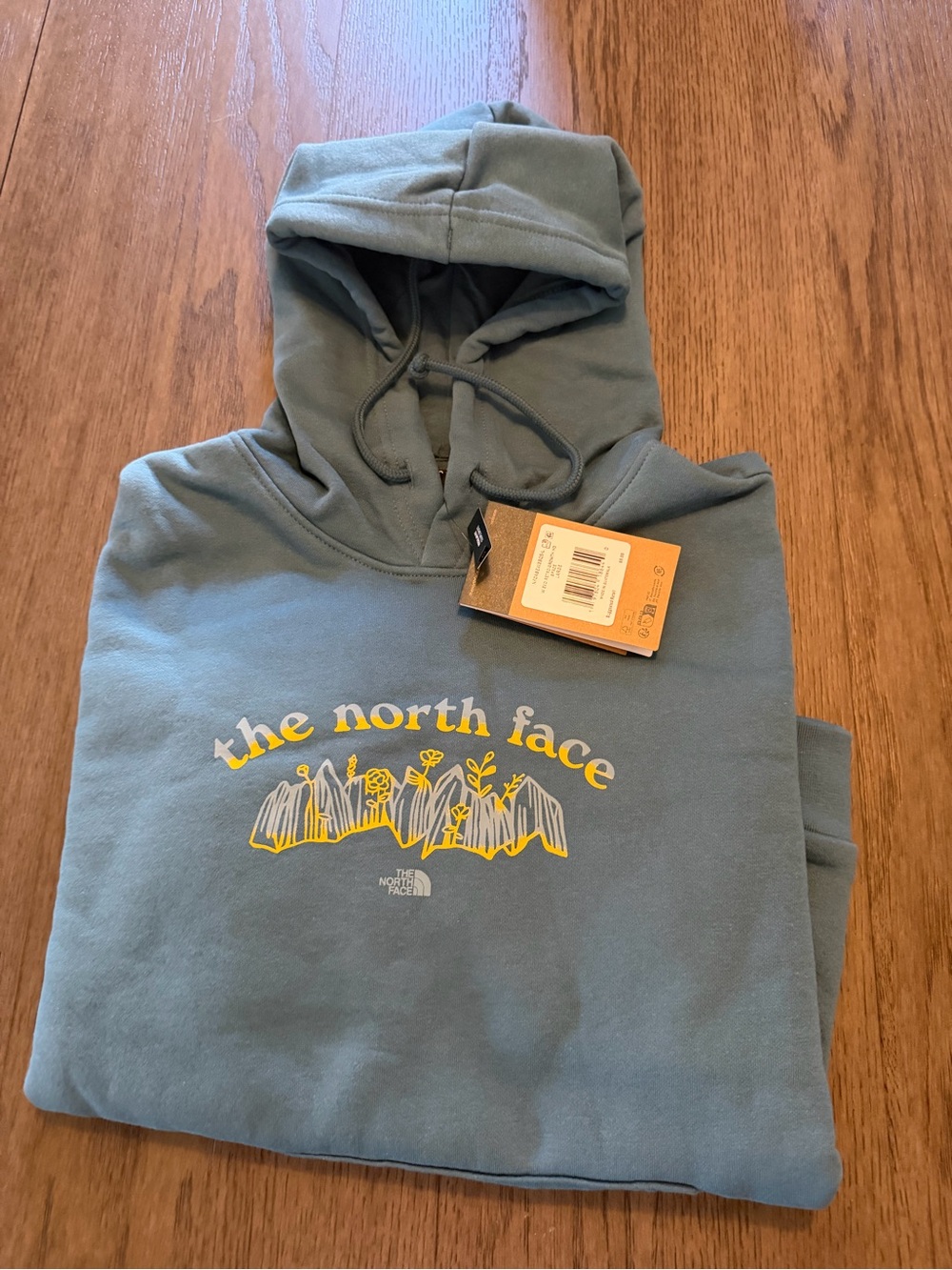 The North Face Dusty Blue Hoodie Mountain Graphic Evo Retro Growth HD Space Sz L